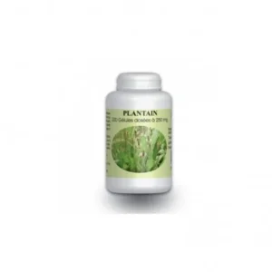 GPH DIFFUSION PLANTAIN BIO - 200 GELULES À 250MG