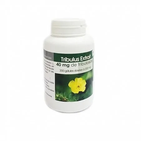 Gph diffusion tribulus extrait 200 gelules