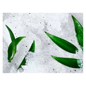 nuxe gommage granite ressourcant reve de the 150 ml