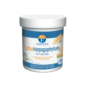 fenioux lithoharpagophytum 1