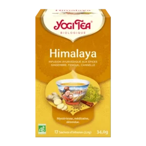 himalaya 17x2g gingembre fenouil cannelle anis coriandre 1