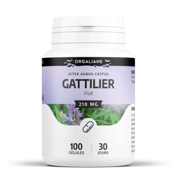 GPH GATTILIER 100 GELULES A 210 MG – Couleur naturelle et soin éclatant