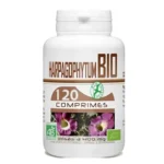 GPH DIFFUSION HARPAGOPHYTUM 120 comprimés – Couleur naturelle et soin éclatant