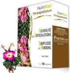 NUTRIMAX harpagophytum 90 comprimés – Couleur naturelle et soin éclatant