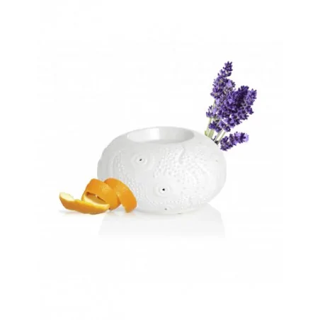PURESSENTIEL DIFFUSEUR CALVI